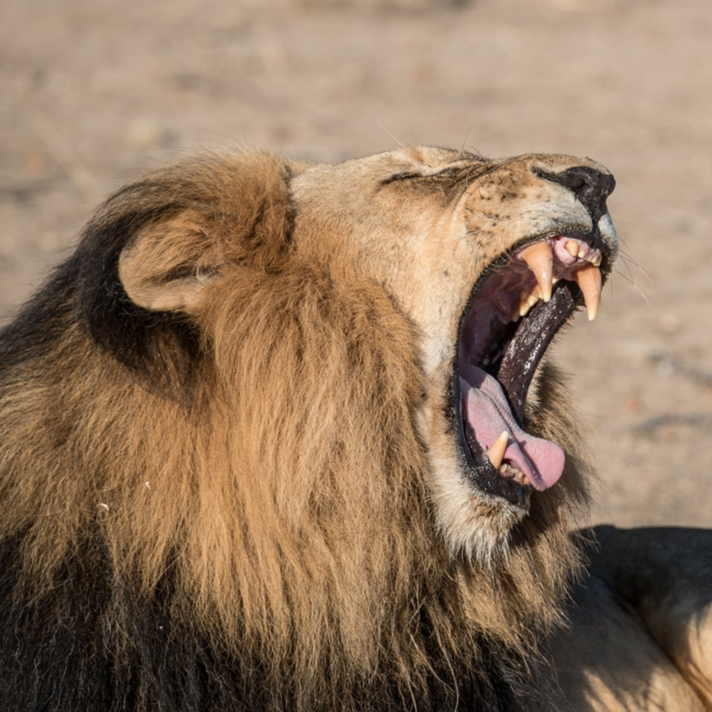 Open wide, or can you? A new treatment for jaw clenchers and teeth grinders